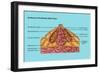 Breast Anatomy, Illustration-Gwen Shockey-Framed Giclee Print