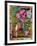 Breast Cancer Ribbon-Mindy Sommers-Framed Giclee Print