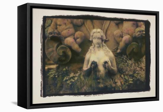 Breast Libation-Theo Westenberger-Framed Stretched Canvas