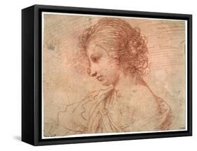 'Breast portrait of a young female', 17th century-Guercino-Framed Stretched Canvas