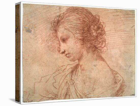 'Breast portrait of a young female', 17th century-Guercino-Stretched Canvas