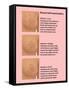 Breast Self Examination-Gwen Shockey-Framed Stretched Canvas