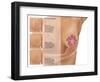 Breast Self Examination-Gwen Shockey-Framed Giclee Print