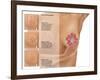 Breast Self Examination-Gwen Shockey-Framed Giclee Print
