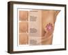 Breast Self Examination-Gwen Shockey-Framed Giclee Print