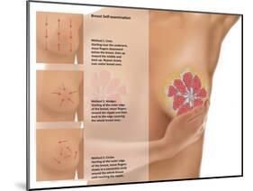 Breast Self Examination-Gwen Shockey-Mounted Giclee Print