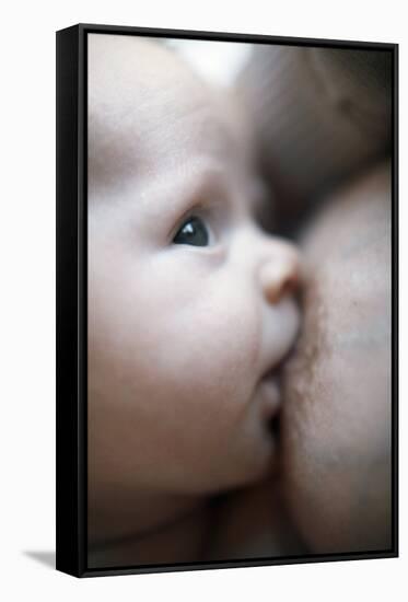 Breastfeeding Baby Boy-Ian Boddy-Framed Stretched Canvas