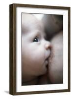 Breastfeeding Baby Boy-Ian Boddy-Framed Photographic Print