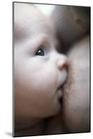 Breastfeeding Baby Boy-Ian Boddy-Mounted Photographic Print