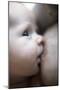 Breastfeeding Baby Boy-Ian Boddy-Mounted Photographic Print