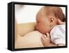 Breastfeeding-Ian Boddy-Framed Stretched Canvas