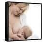 Breastfeeding-Science Photo Library-Framed Stretched Canvas