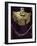 Breastplate and Gold Necklace with Nose Rings-null-Framed Giclee Print