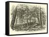 Breastwork in the Woods, July 1863-null-Framed Stretched Canvas