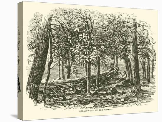 Breastwork in the Woods, July 1863-null-Stretched Canvas