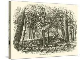 Breastwork in the Woods, July 1863-null-Stretched Canvas