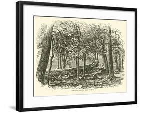 Breastwork in the Woods, July 1863-null-Framed Giclee Print