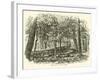 Breastwork in the Woods, July 1863-null-Framed Giclee Print