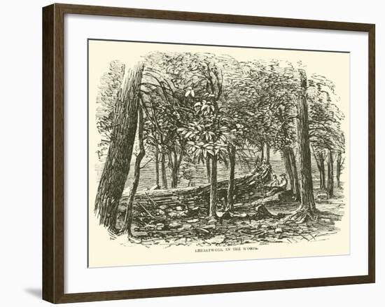 Breastwork in the Woods, July 1863-null-Framed Giclee Print