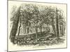 Breastwork in the Woods, July 1863-null-Mounted Giclee Print