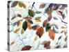 Breath of Autumn-Holly Van Hart-Stretched Canvas