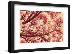 Breath of Me-Philippe Sainte-Laudy-Framed Photographic Print