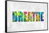 Breathe in Color-Jamie MacDowell-Framed Stretched Canvas