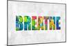 Breathe in Color-Jamie MacDowell-Mounted Art Print