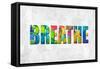 Breathe in Color-Jamie MacDowell-Framed Stretched Canvas