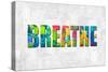 Breathe in Color-Jamie MacDowell-Stretched Canvas