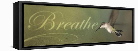 Breathe-Kory Fluckiger-Framed Stretched Canvas