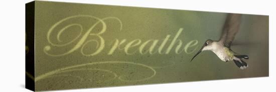 Breathe-Kory Fluckiger-Stretched Canvas