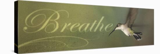 Breathe-Kory Fluckiger-Stretched Canvas