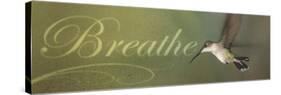 Breathe-Kory Fluckiger-Stretched Canvas