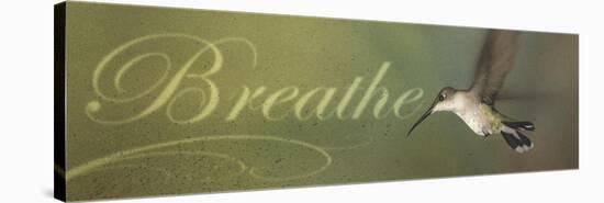 Breathe-Kory Fluckiger-Stretched Canvas