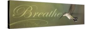 Breathe-Kory Fluckiger-Stretched Canvas