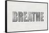 Breathe-Jamie MacDowell-Framed Stretched Canvas