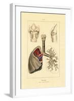 Breathing, 1833-39-null-Framed Giclee Print