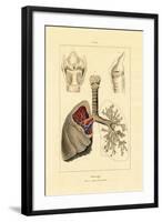 Breathing, 1833-39-null-Framed Giclee Print