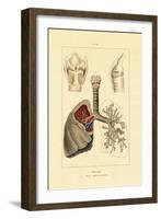 Breathing, 1833-39-null-Framed Giclee Print