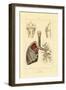 Breathing, 1833-39-null-Framed Giclee Print