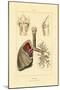 Breathing, 1833-39-null-Mounted Giclee Print