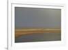 Breathing Heavily After the Rain (1)-Jacob Berghoef-Framed Photographic Print