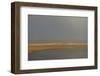 Breathing Heavily After the Rain (1)-Jacob Berghoef-Framed Photographic Print