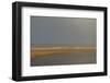 Breathing Heavily After the Rain (1)-Jacob Berghoef-Framed Photographic Print