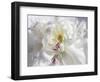 Breathless V-Irena Orlov-Framed Photographic Print