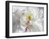 Breathless V-Irena Orlov-Framed Photographic Print