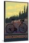 Breckenridge, Colorado - Mountain Bike-Lantern Press-Stretched Canvas