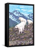 Breckenridge, Colorado, Mountain Goat Family-Lantern Press-Framed Stretched Canvas