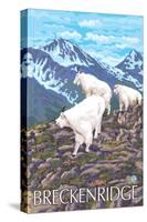 Breckenridge, Colorado, Mountain Goat Family-Lantern Press-Stretched Canvas